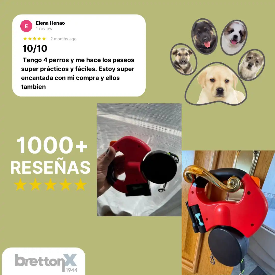 PaseosFelices Duo™ – Correa Antienredos con Luces LED Para Paseos Nocturnos Sin Estrés