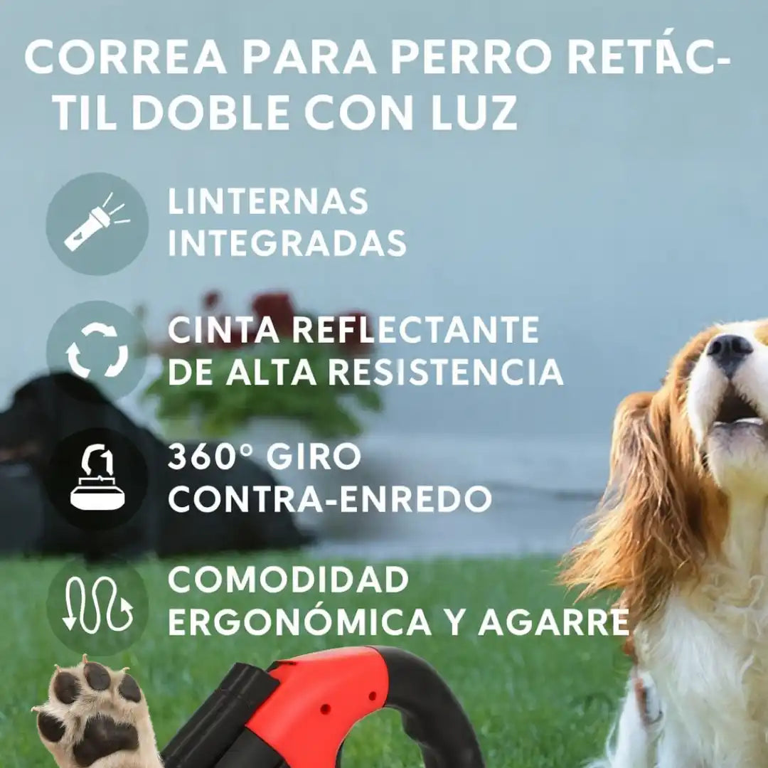 PaseosFelices Duo™ – Correa Antienredos con Luces LED Para Paseos Nocturnos Sin Estrés